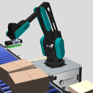 Six Axis Robot Logistic Warehousing Sorting Line