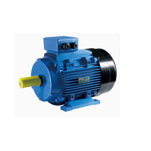 3-Phase Induction Motor
