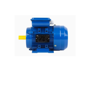 Single Phase Induction Motor